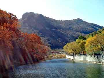 新澳天天开奖资料大全旅游团，深圳水磨石翻新